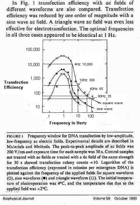 Transfection graph